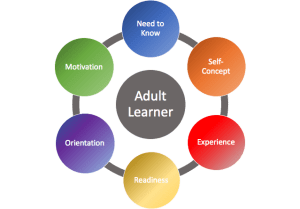 Ault learning cycle