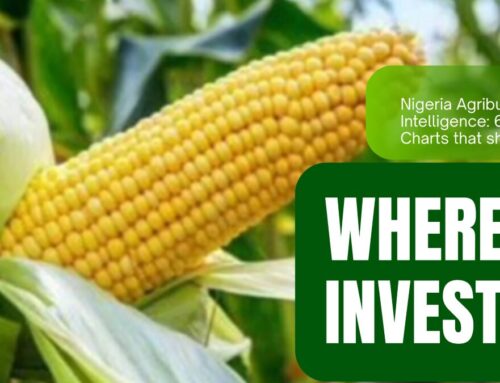 Nigeria Agribusiness Intelligence: 6 Charts That Show Where to Invest (and Why)